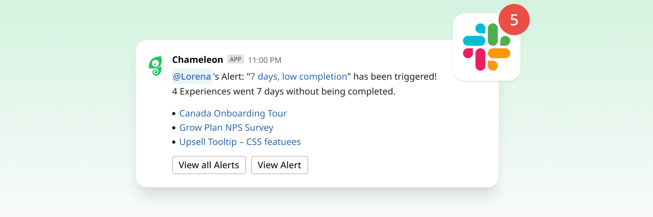 Set up Slack and Email