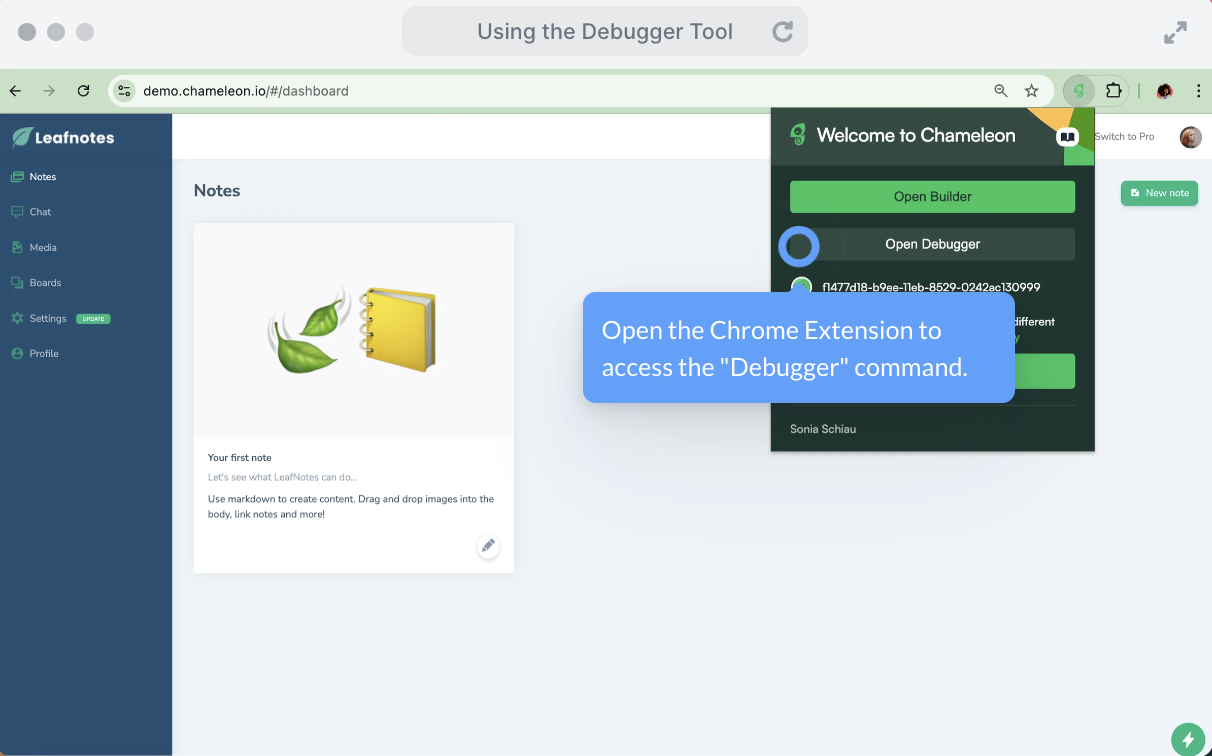 Chameleon Debugger